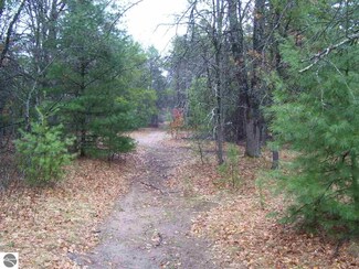 0 N Saint Helen Rd, Saint Helen, MI 48656