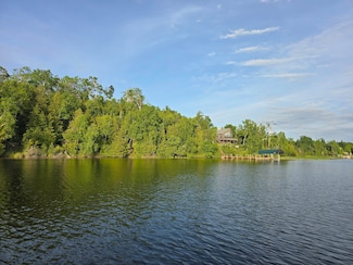 Lot F N Forest Dr, Inverness Township, MI 49721