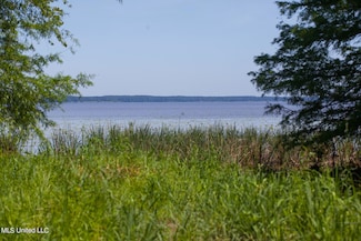 163 Bald Eagle Dr, Brandon, MS 39047