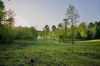 N of Barker Cove Loop Unit LotWP001, Palmer, TN 37365