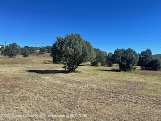 L193 Saddleback Rd, Alto, NM 88312