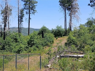 13392 Hog Ranch Rd, Concow, CA 95965