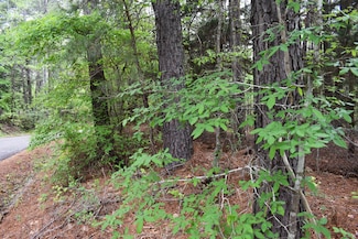 0 An County Road 346, Neches, TX 75779