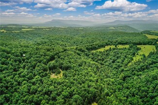 TBD Cane Branch Rd, Western Grove, AR 72685