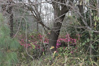 0 E Highway 162 Unit 16006785, Hollywood, SC 29449