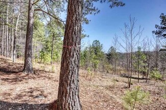 Lot 161 Thirteen Hundred S D, Blairsville, GA 30512