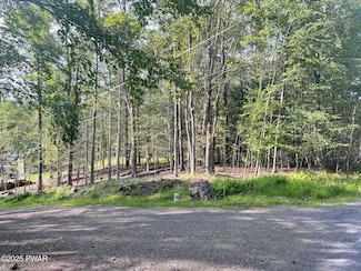 0 Evergreen Dr, Greene Township, PA 18426