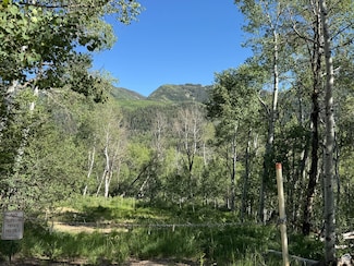 5592 Fremont Trail Unit 85, Oakley, UT 84055