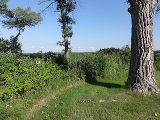 .6 Acres Lakeshore Dr, Long Beach, MN 56334