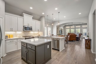 229 N Bearkat Ct, Montgomery, TX 77316