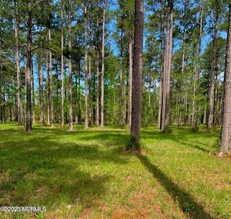 52 Corolla Loop Rd, Arapahoe, NC 28510
