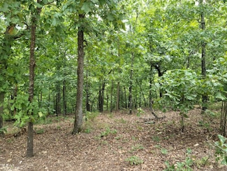 000 Cherokee Acres Dr, Cherokee Village, AR 72529