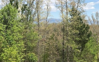 LT 29 Brasstown View Rd, Murphy, NC 28906