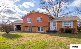 223 1400th Ave, Mount Pulaski, IL 62548