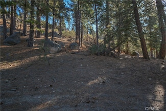 0 Cobblestone Ln Unit IG24253088, Running Springs, CA 92382