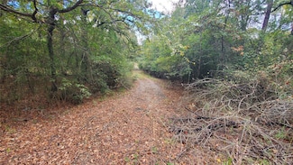 0 Apache Trail, Log Cabin, TX 75148