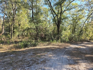 TBD NW NW 57th Ln, Chiefland, FL 32626