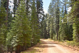 Lot 5 Twisted Pine Dr Unit 4, McCloud, CA 96057