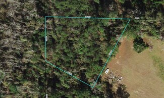 TBD County Road 333, Bristol, FL 32321