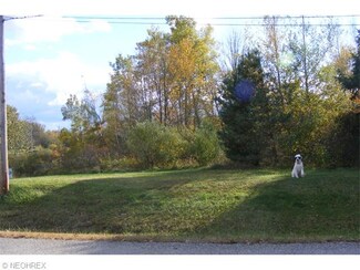 1811 Largo Dr, Roaming Shores, OH 44084