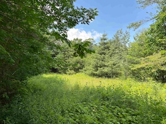 00 Simonsville Rd, Andover, VT 05143
