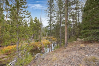 773 Smiley Creek Rd, Sawtooth City, ID 83340