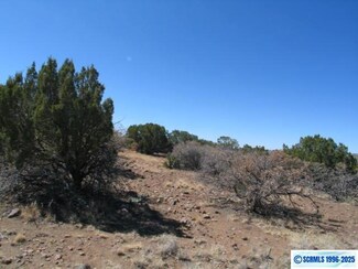 XX Kirkland Rd, Arenas Valley, NM 88061