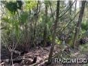 10714 W Marker Path, Homosassa, FL 34448