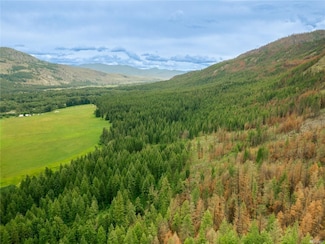 0 Wolf Creek Rd, Winthrop, WA 98862