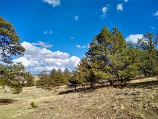0 Selah Rd Unit 5166162, Hartsel, CO 80449