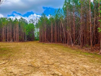 Tbd Reeves Rd SE, Ruth, MS 39662