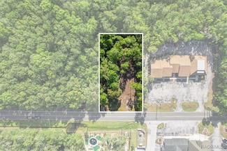 1051 N Citrus Ave, Crystal River, FL 34428