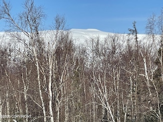 2541 W Longview Cir, Wasilla, AK 99654