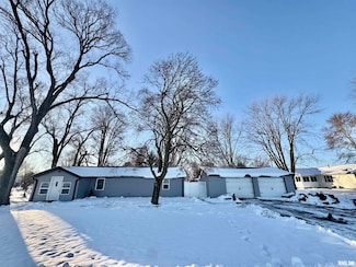 106 E Beeson St, Joy, IL 61260