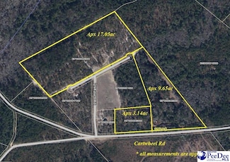 TBD Cartwheel Rd, Mullins, SC 29574