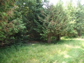 448 Wausau St, Birnamwood, WI 54414