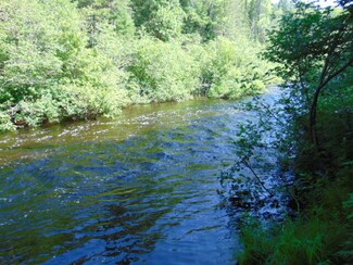 000 County Road 407, McMillan Township, MI 49868