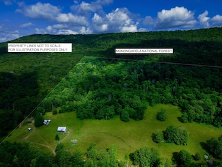 873 Arlie Simmons Rd, Franklin, WV 26807