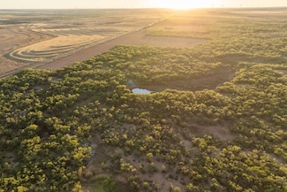 Fm Road 419 S, Capitola, TX 79556