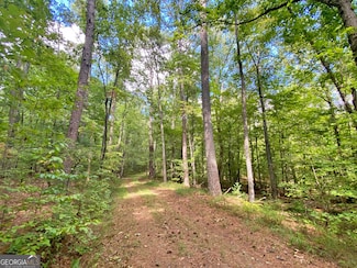 152AC Whitepath Rd, Ellijay, GA 30540