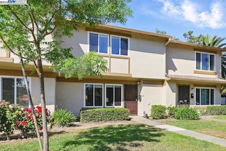 36906 Bolina Terrace, Fremont, CA 94536