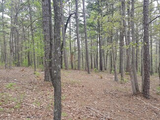 0 Whispering Pines Unit 60135494, Licking, MO 65542