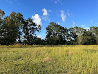 0 Us Hwy 43 Unit 21637746, Winfield, AL 35594