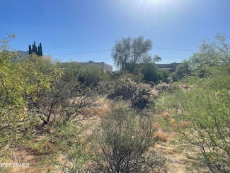 6039 S Alameda Rd Unit 166, Gold Canyon, AZ 85118