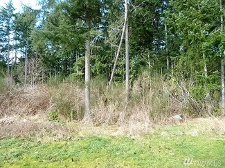 9999 A St, Port Hadlock, WA 98339