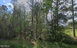 0 Taft St Unit 4112957, Bay Saint Louis, MS 39520