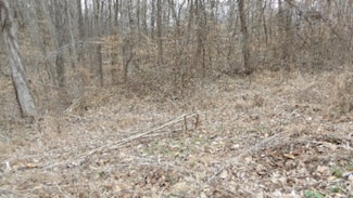 0 Beaver Ln, Gainesboro, TN 38562