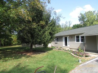 8693 Fairview Terrace, Colden, NY 14033