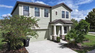 6207 Colmar Place, Apollo Beach, FL 33572