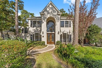 15 Crested Pines Ct, Spring, TX 77381